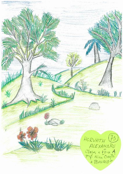 73_Alexandru HORVATH_Miresu Mare.jpg